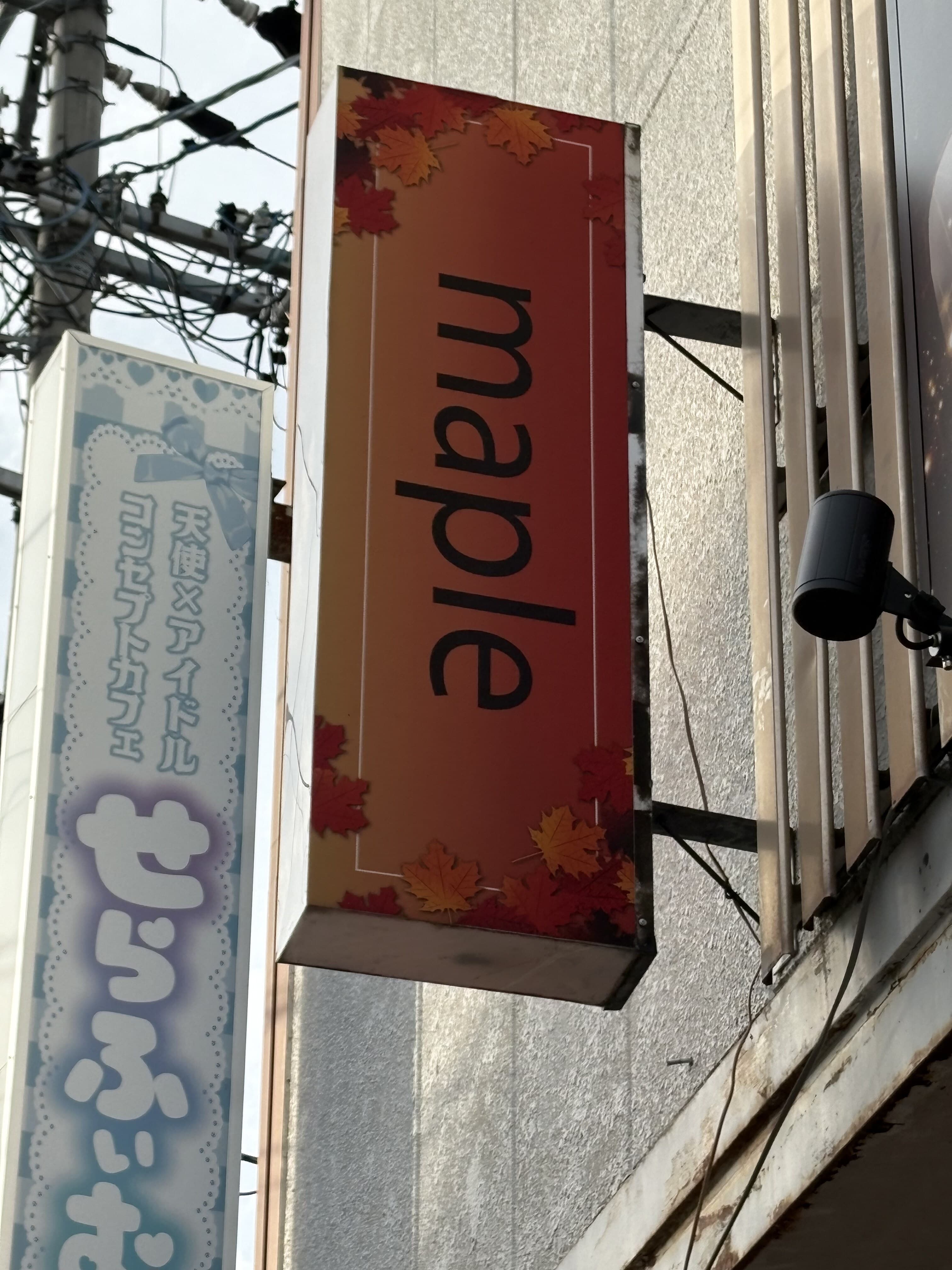 maple と はぴねす の並ぶ袖看板